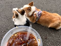 -桤木河湿地公园