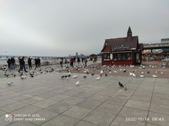 -大连星海广场音乐喷泉