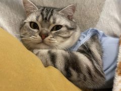 -北京恒爱动物医院(清景园分院)