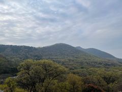-句容茅山景区