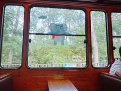 -合肥滨湖国家森林公园