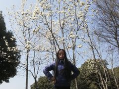 -玉山公园