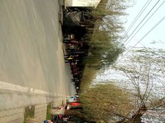 android_upload_pic-三圣花乡旅游区