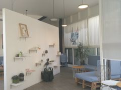 -有猫主题·治愈系猫咖(曾厝垵店)