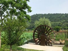 -龙寺生态园