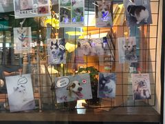 -1013 PET SHOP 宠物商店(近铁城市广场店)
