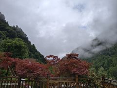 -古尔沟华美达温泉度假酒店