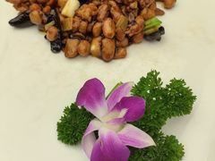 -芙蓉凰花园酒楼
