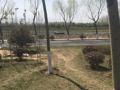 -洨河生态公园