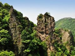 -九龙江国家森林公园