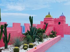 -漳州滨海火山岛自然生态风景区