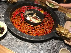 红白鸳鸯-蜀大侠火锅(寰球文化地标·总府店)
