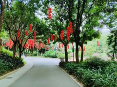 -云溪植物园