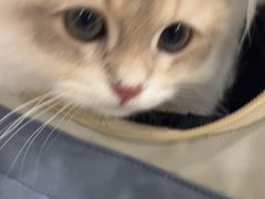 -佳雯宠物医院·皮肤科·内外科(春晓路分院)