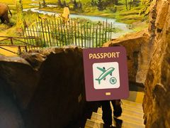 -陕西自然博物馆