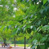 碧沙岗真的是老郑州人的回忆了 小时候最常来的公园就是