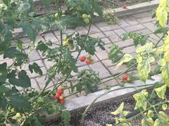 景点-兰陵国家农业公园