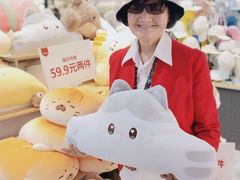 -龙湖南京江北天街