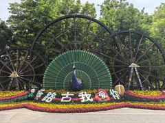 -呀路古热带植物园