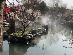 -香雪海
