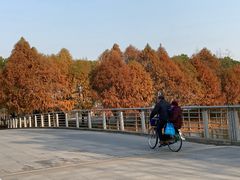 -万达影城(江桥万达广场IMAX店)