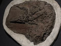 -遇见博物馆(遇见海洋沉浸式奇幻光影展)