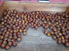 -阿男野栗王(金门路店)