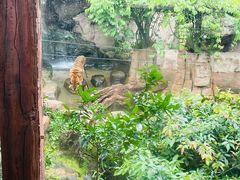 -长鹿旅游休博园