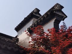 -檀园