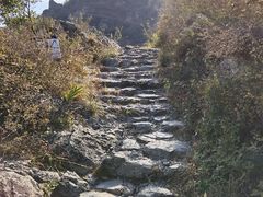 -阳台山自然风景区