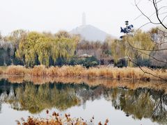 -北坞公园