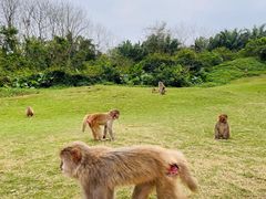 -海南热带野生动植物园