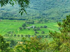 -风云岭森林公园