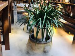 -三只耳火锅(宽窄巷子店)