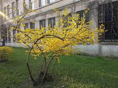 -辽宁大学(崇山校区)