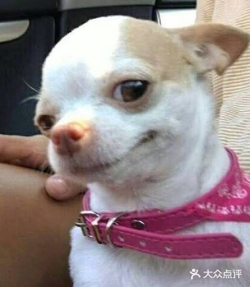 模仿请回答1988的场景做了一盆的包子