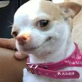 模仿请回答1988的场景做了一盆的包子