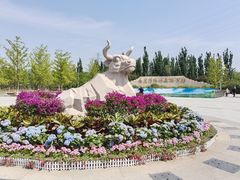 -永定河休闲森林公园