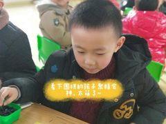 -智韵素养黎明练字(莘庄校区)
