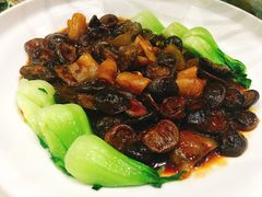 花菇焖海参-雅和生态渔庄·宜城锅巴饭(龙灵山公园店)