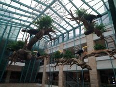 -大族广场Mall&More