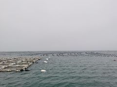 -广鹿岛景区