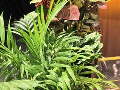 -半秋山西餐厅(襄阳万达店)