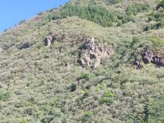 -北京十三陵国家森林公园蟒山景区