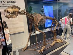 -北京周口店北京人遗址博物馆