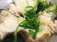 清蒸龙趸-辉记虾塘海鲜农庄