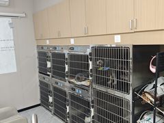-瑞鹏宠物医院·骨科·猫科·内科(第一中心)