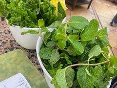 -鸽鸟轩(石岐店)