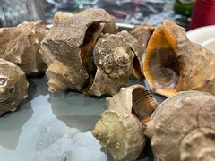 -斯通泰伯酒店-餐厅