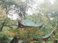 -岳麓山风景名胜区